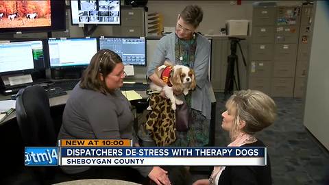 Sheboygan County using therapy dogs in 911 center