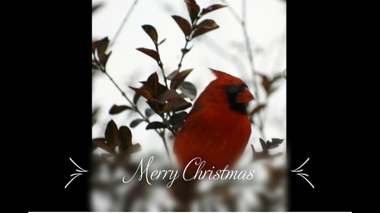 Thoughts on Christmas