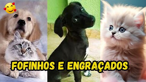 🐾 Novos vídeos de animais mais engraçados de 2023 😂