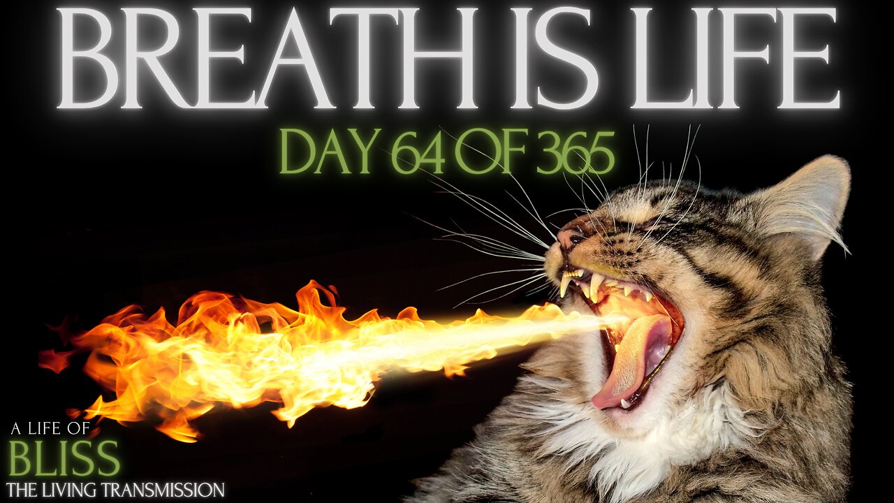 Day 64 - Breath is Life