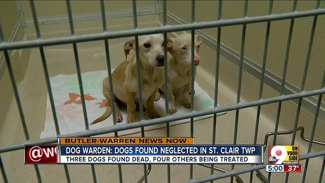 3 dogs dead, 4 malnourished lead to charges for Butler County woman