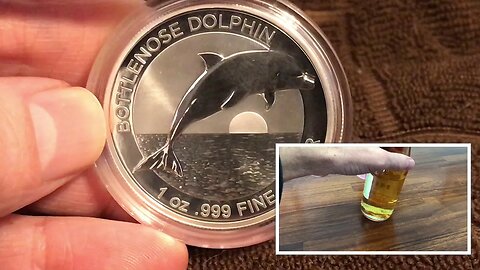 Bottlenose Dolphin Coin & Announcement