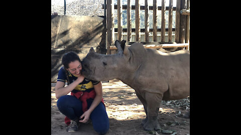 Save Rhinos from extinction !!