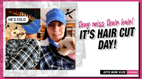 Hair Cut Day! Our Dog Misses Their Hair | Keto Mom Vlog