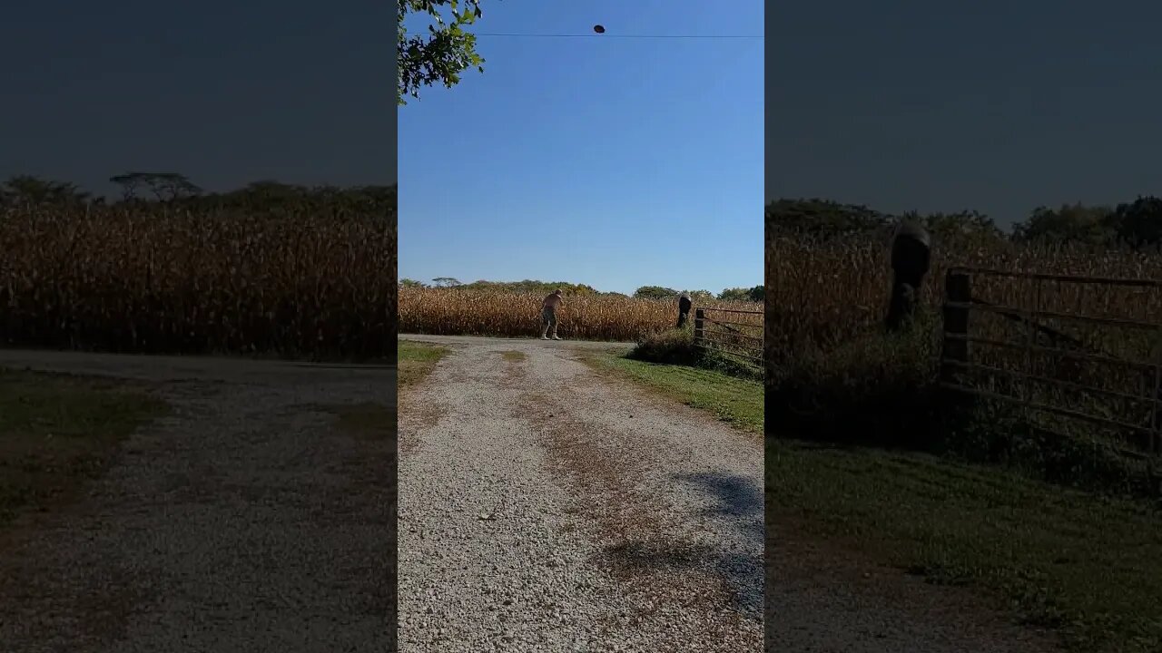 Discus Throw practice for Senior Olympics Nationals, Crazy 🤪 old man