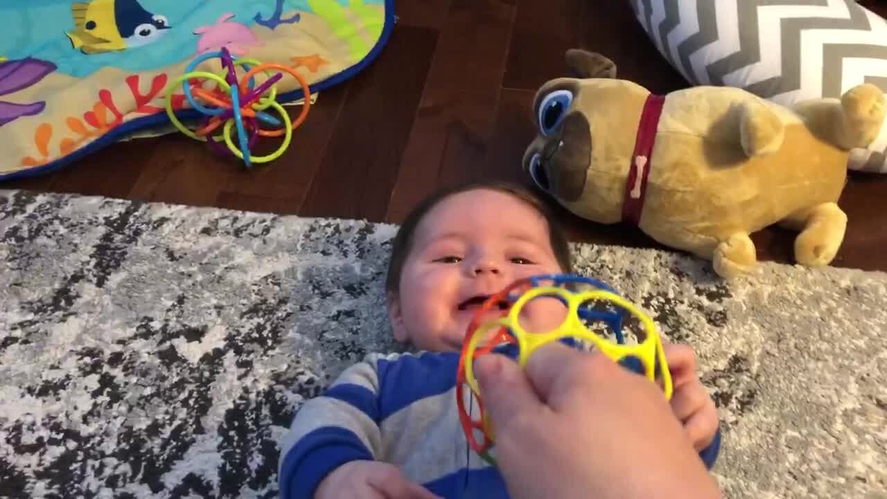 Baby Can't Stop Laughing In Amazement At New Toy Ball