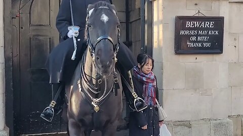 She is too close to the Horse #horseguardsparade