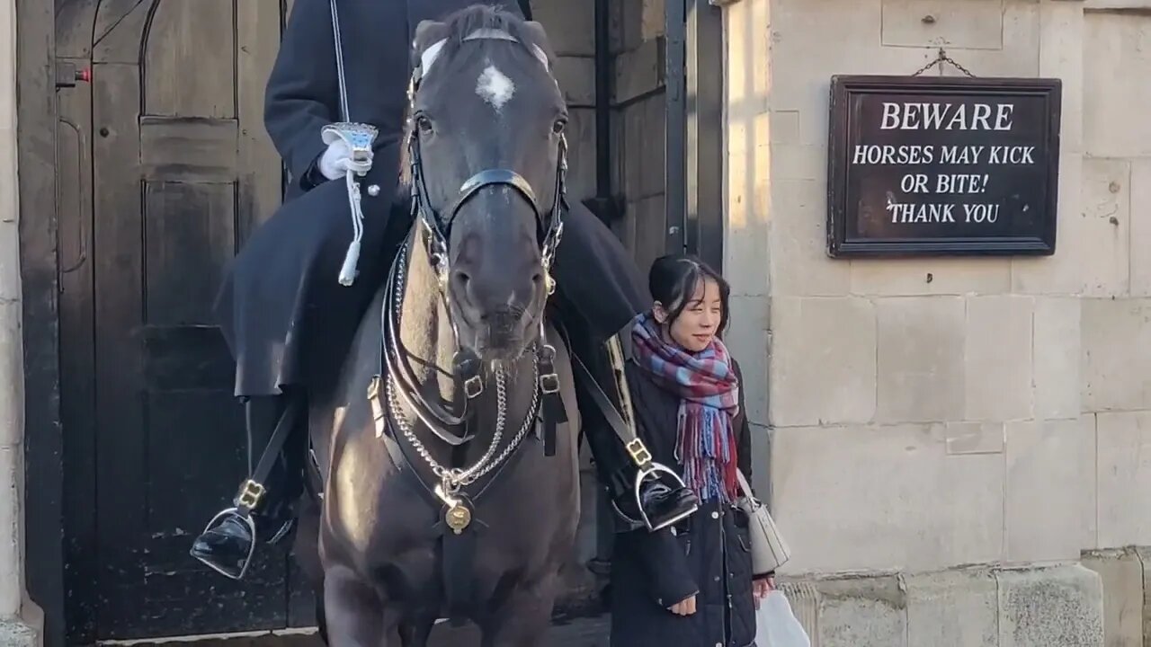 She is too close to the Horse #horseguardsparade