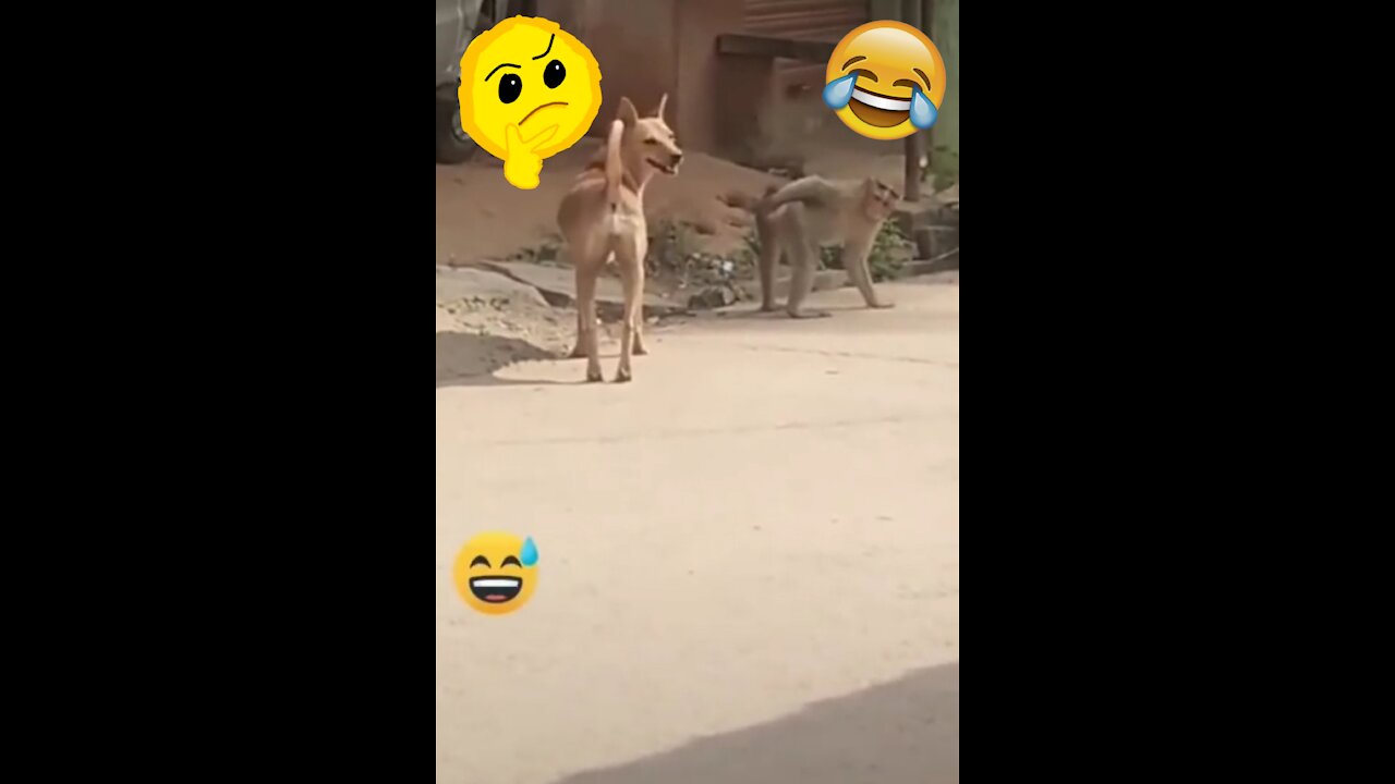 Super Funny Animal Video that Will Make You Laugh Out Loud | Keep Laughing | 2021