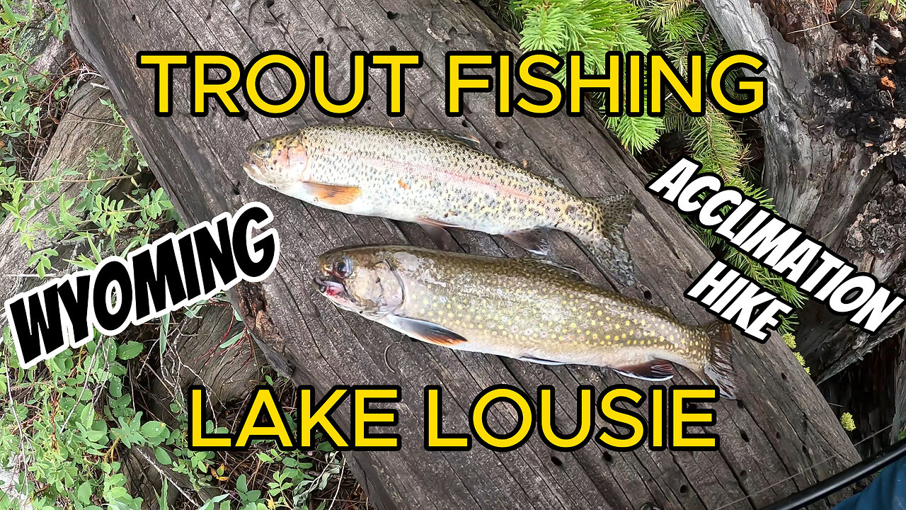 Trout Fishing at Lake Louise in the Wyoming Wind River Range