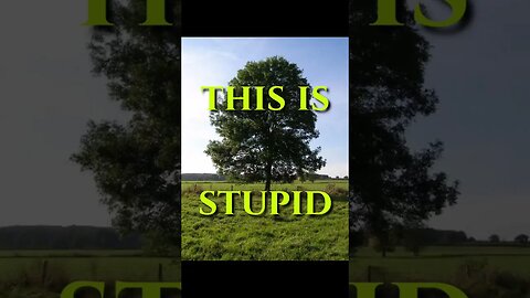is this a tree?