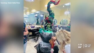 Palm Harbor salon holds creative fantasy hair competition to boost moral