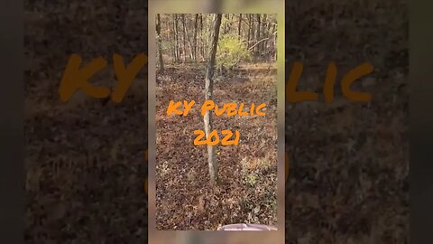 KY Public Land Hunting