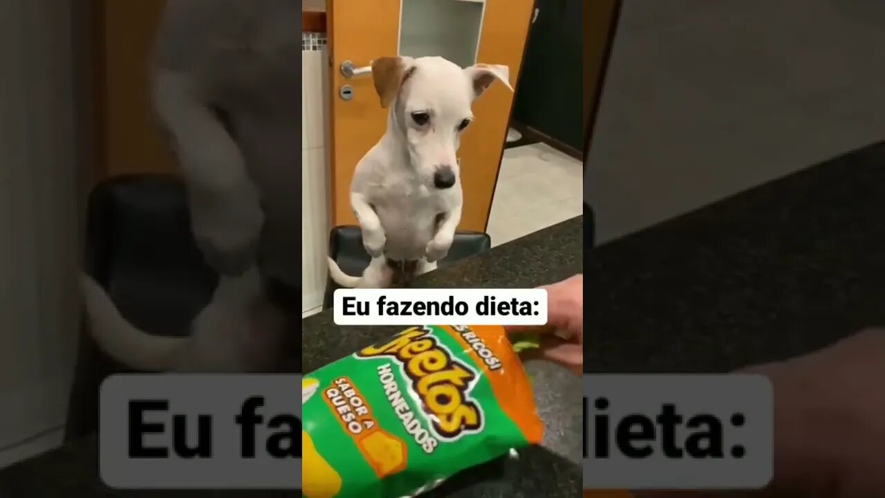 Eu fazendo dieta