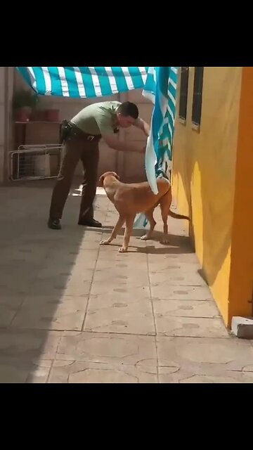 Dog Hugs Police Office After Being Freed