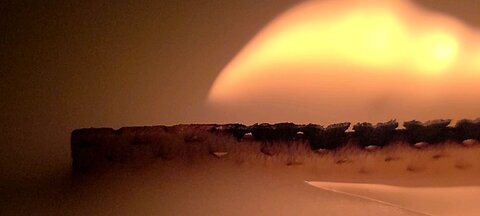 Wood Wick Candle Close up!