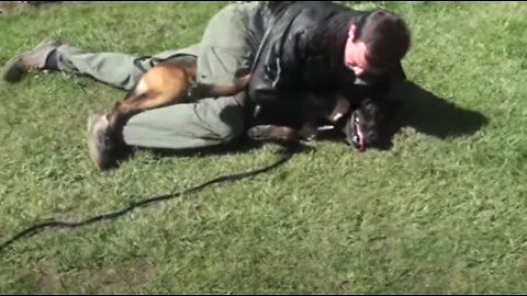 How to Defend Yourself Against a Dog: Easy and Effective Self Defense Against Dog Attack