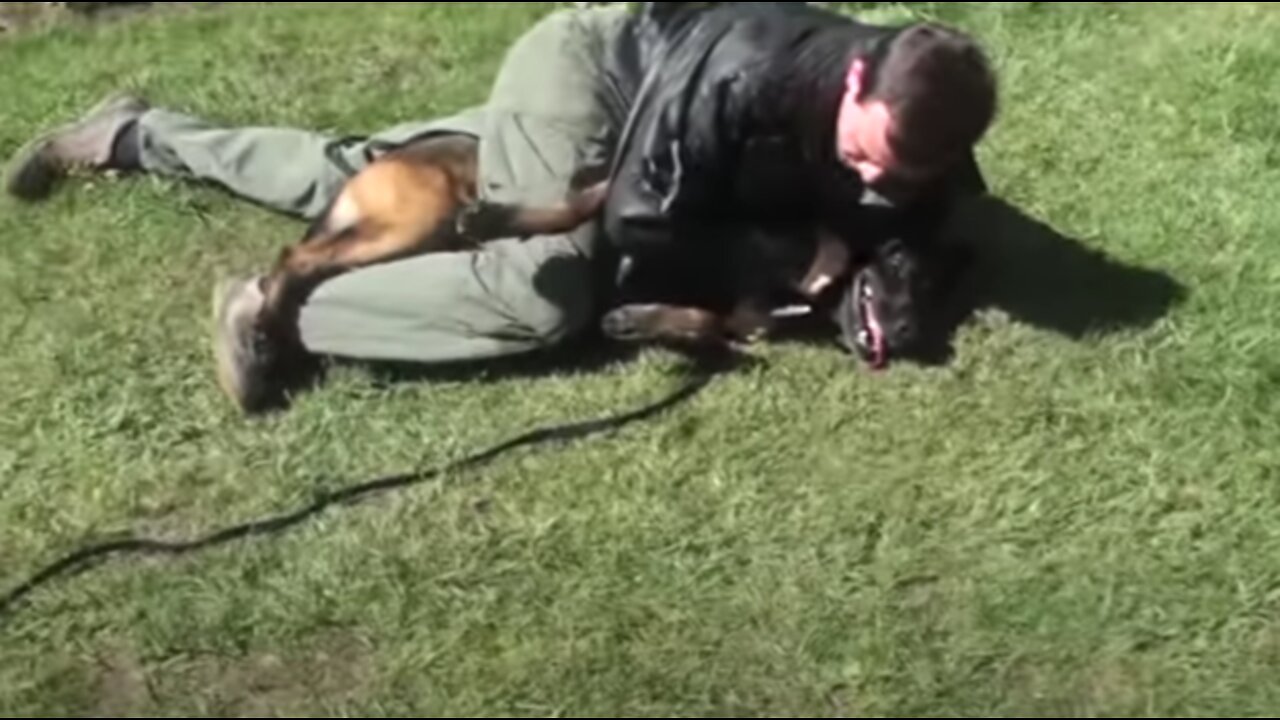 How to Defend Yourself Against a Dog: Easy and Effective Self Defense Against Dog Attack