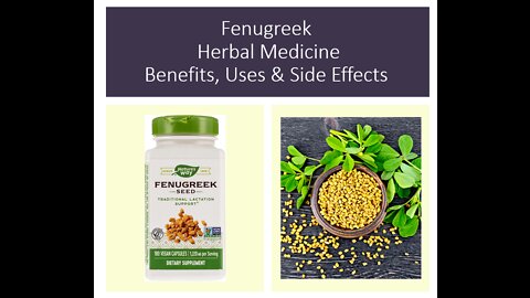 Fenugreek - Herbal Medicine - Benefits, Uses & Side Effects