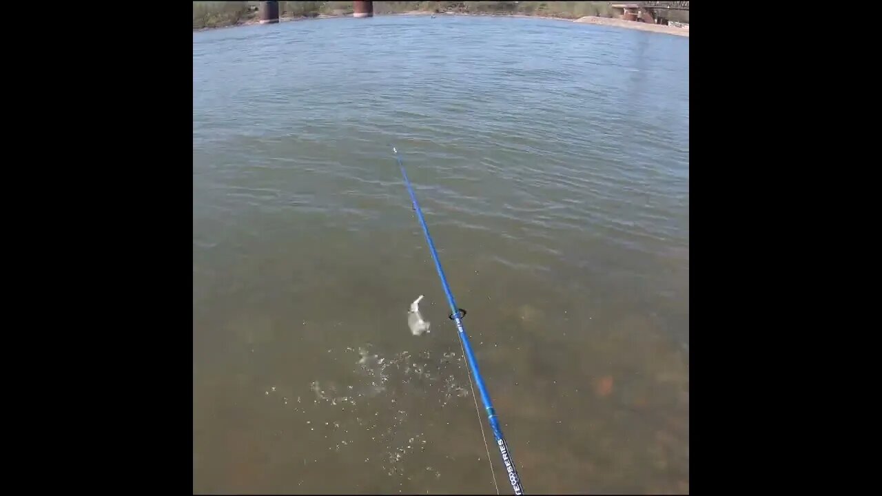 Fishing the Tennessee River