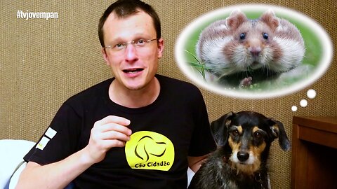 Pet na Pan #07 - Cinco dicas antes de comprar um hamster
