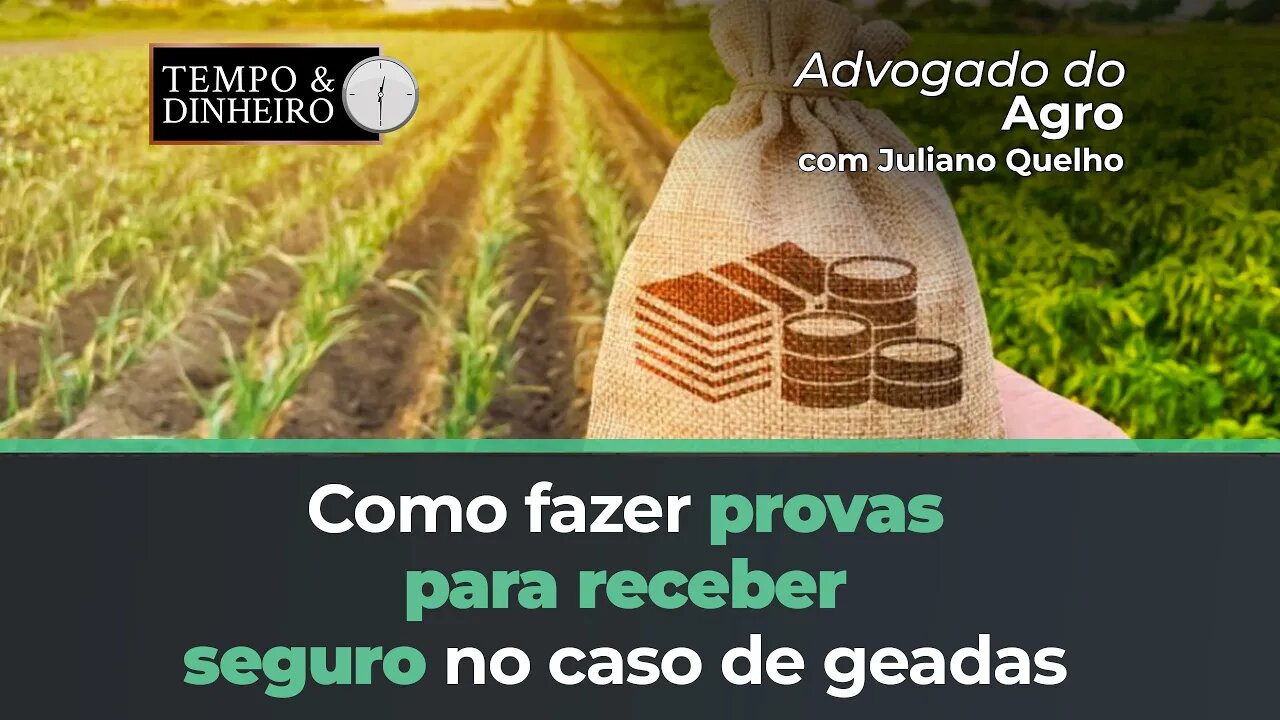 Advogado do Agro aconselha como fazer provas para receber seguro no caso de geadas