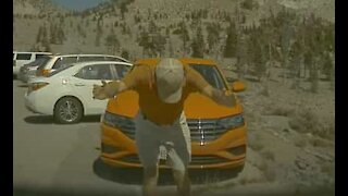 Senhor apanhado a venerar um Tesla