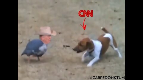 This is CNN