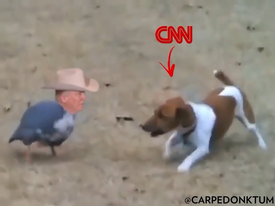 This is CNN