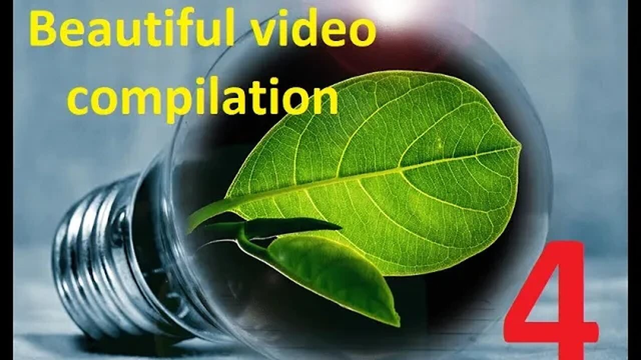 Beautiful video compilation #4