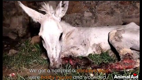 Meet Blessing :Whose ankles were cut by rop,saves and loved