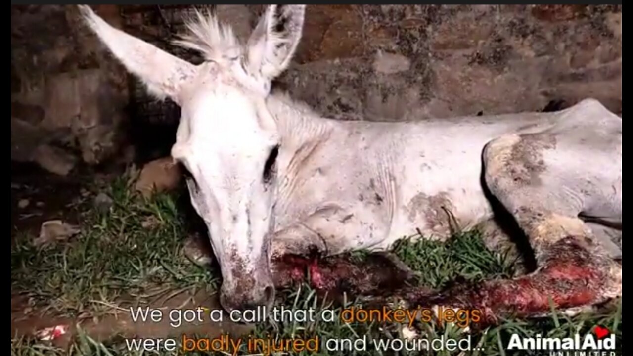 Meet Blessing :Whose ankles were cut by rop,saves and loved