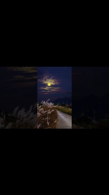 Relaxing Calm Nature Music