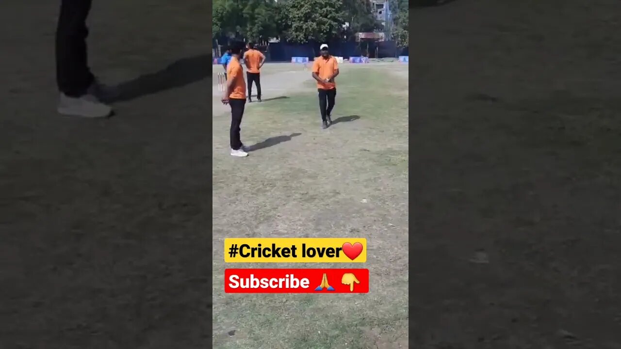 Cricket lover ❤❤#viralvideo Chak lein de