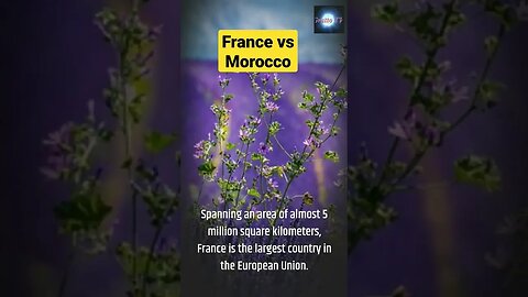 France vs Morocco #worldcup #France #Morocco