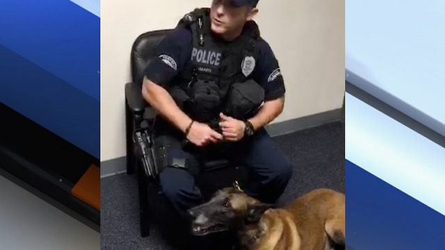 Port St. Lucie K-9 retiring