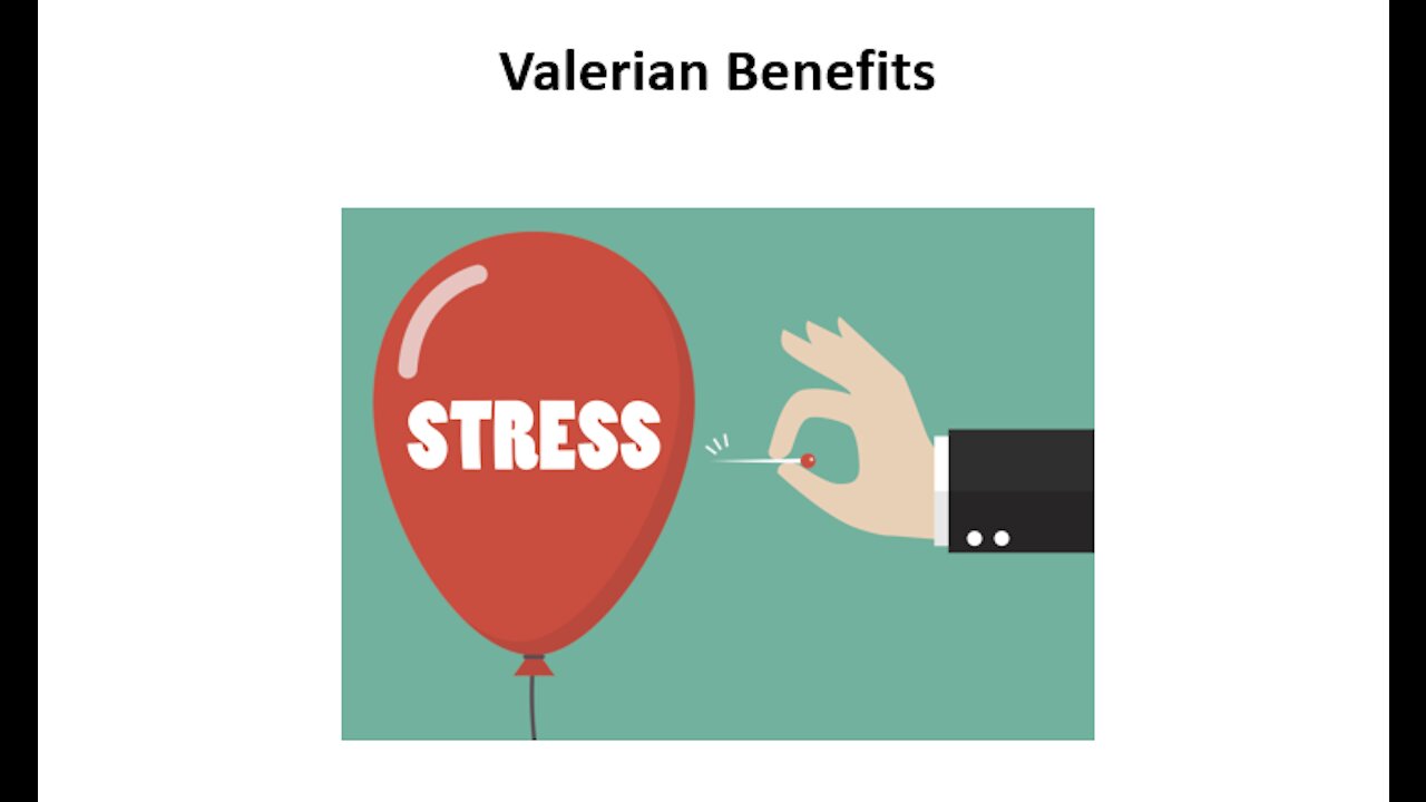 Valerian Benefits - Sleep & Mood