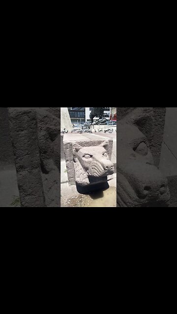 In 1925 from turkey 🇹🇷