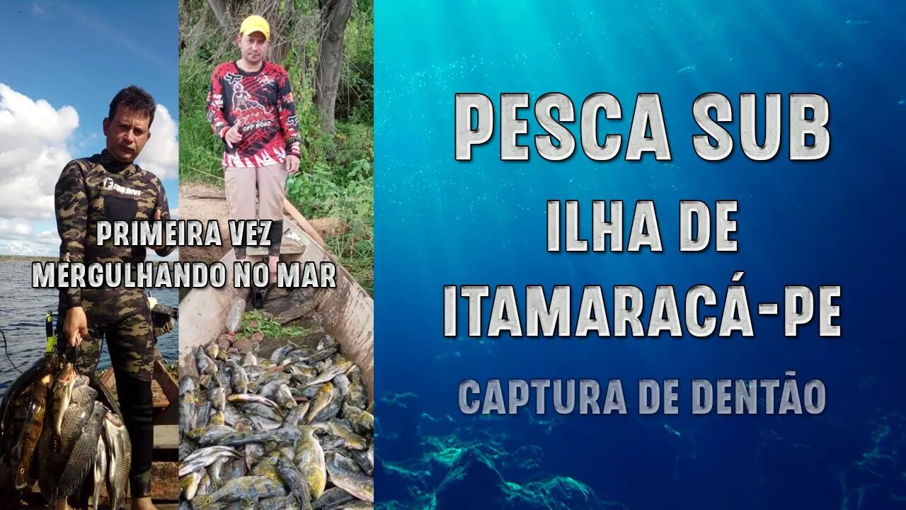 Pesca Sub em Apneia • Dentões • Ilha de Itamaracá-PE #spearfishing #pescasub #pescasubmarina