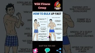 🔥How to bulk up fast🔥#shorts🔥#wildfitnessgroup🔥4 November 2022🔥