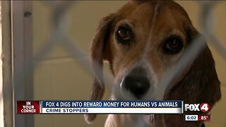 Digging into reward money for humans versus animals