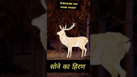 सोने का हिरण GOLDEN DEER #viral #shorts #cartoon #animation #story @ukdreamtoon