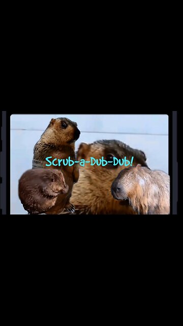 Scrub-a-Dub-Dub! Hilarious Compilation of Animals Enjoying Bath Time Fun