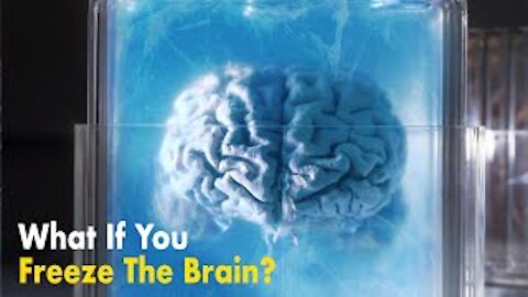 What If You Freeze Your Brain?