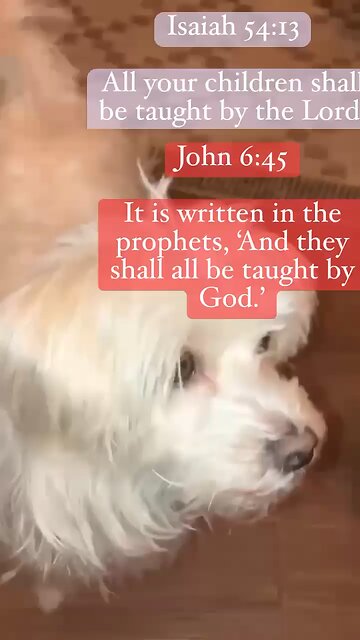 All your children shall be taught by the Lord Isaiah 54. And reference by Jesus in gospel of John