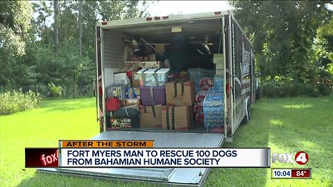 Fort Myers man to rescue 100 dogs from Bahamian Humane Society