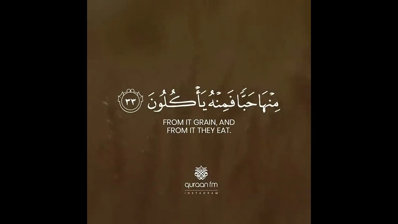 Suarat yaseen /qari tareq mohmmed relaxing mood