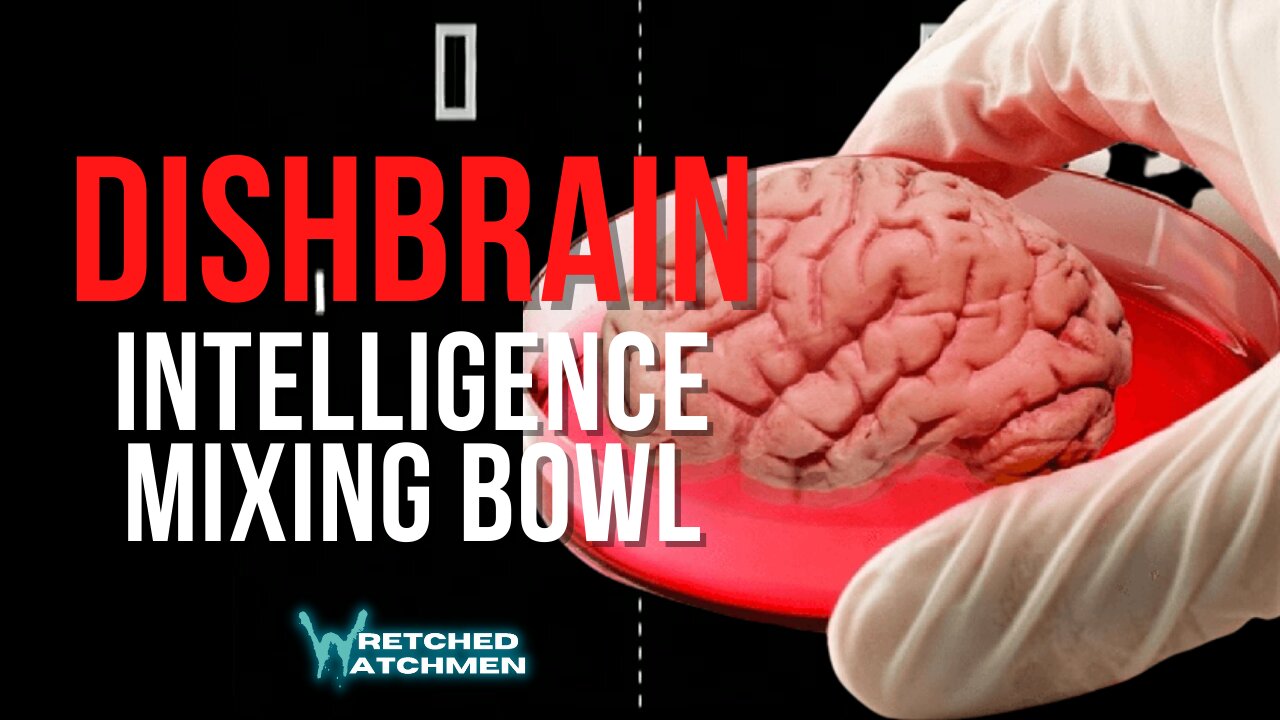 DishBrain: Intelligence Mixing Bowl