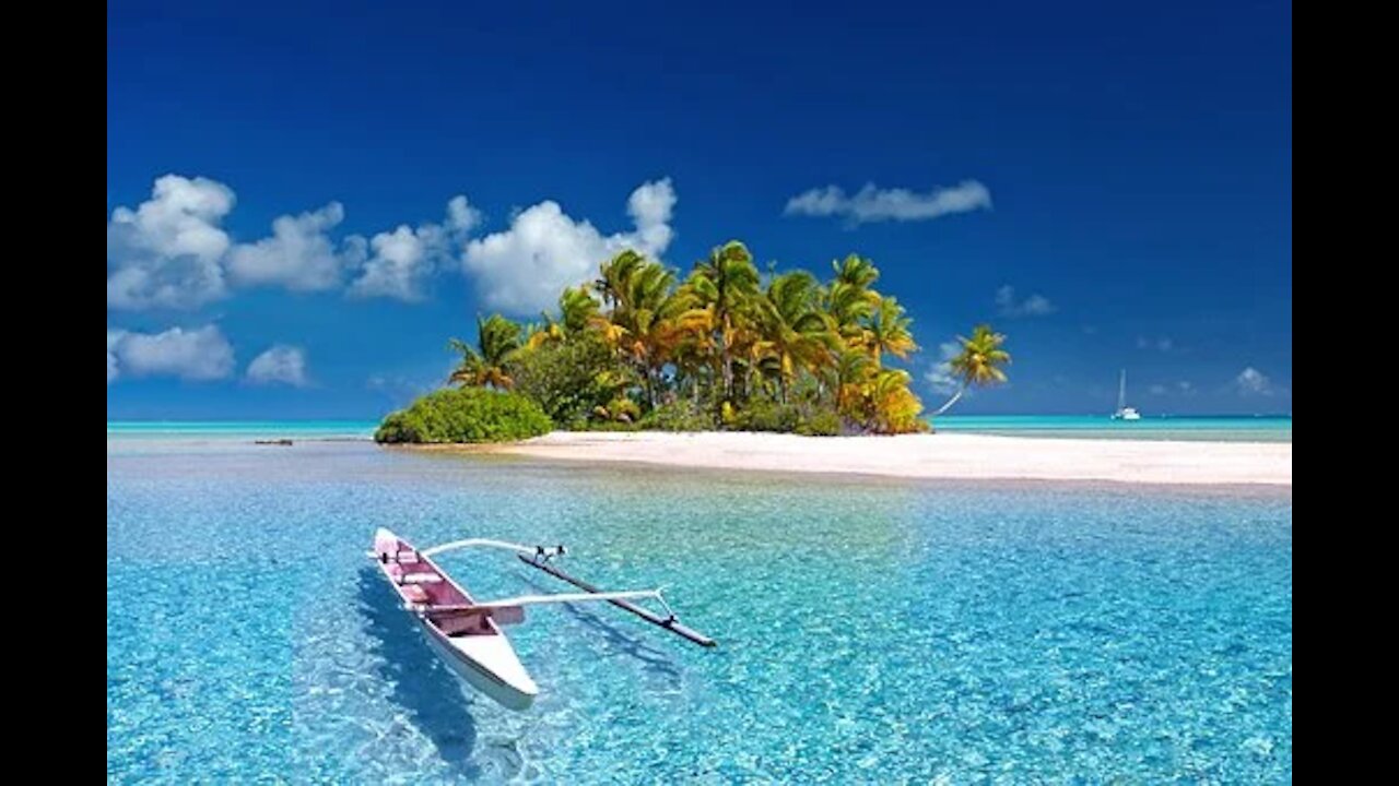 Look deep into nature, and then you will understand everything better. The Real Beauty of Nature.