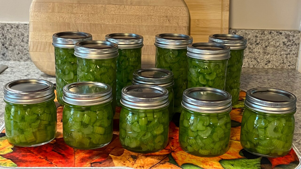 SHOCKING Benefits of Pressure Canning Fresh Celery at Home